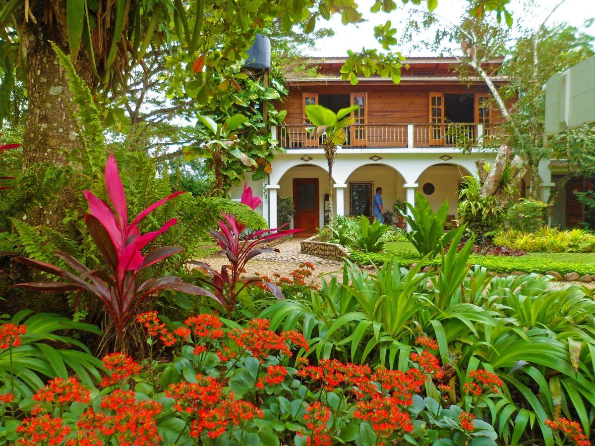 Sweet Songs Jungle Lodge San Ignacio Exterior foto